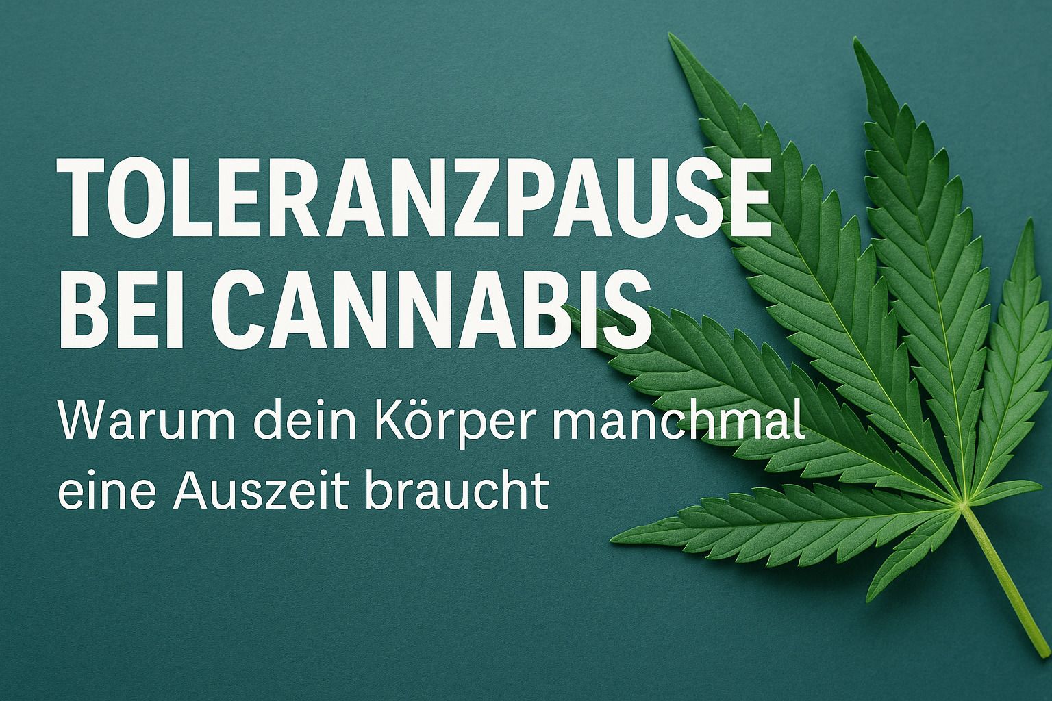 Toleranzpause bei Cannabis: Warum dein Körper manchmal eine Auszeit braucht
