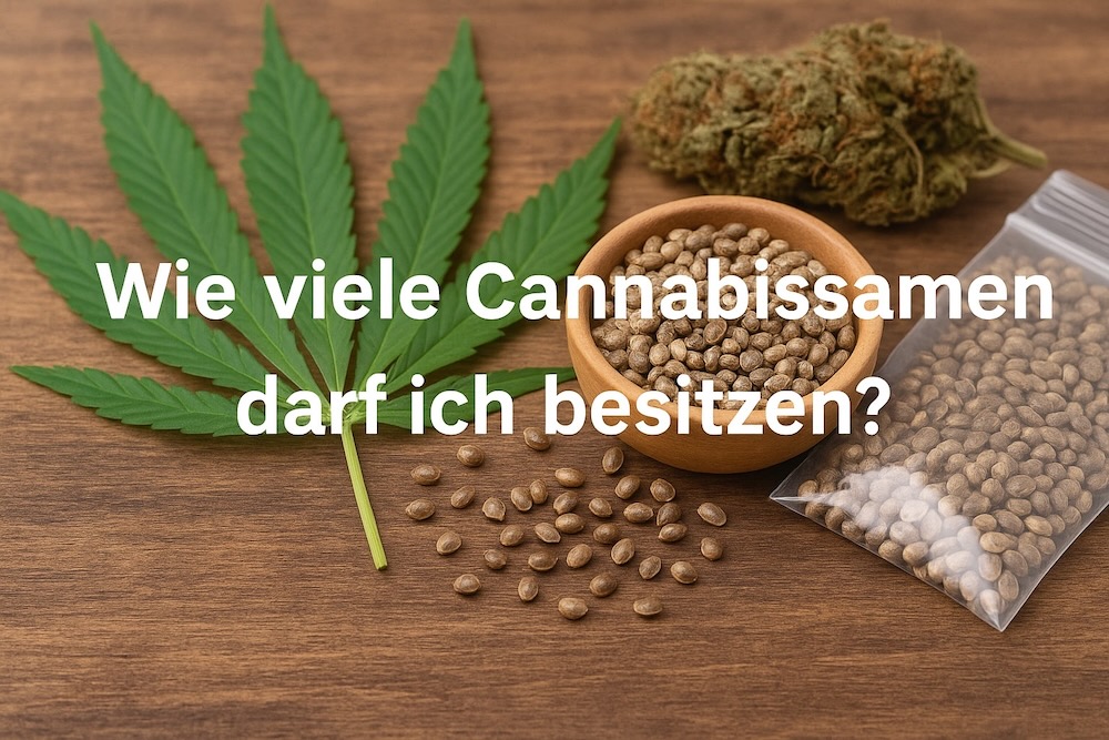 Wie viele Cannabissamen darf ich in Deutschland besitzen?