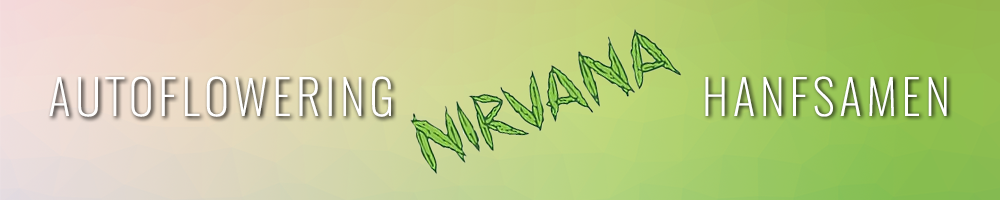 Nirvana Seeds