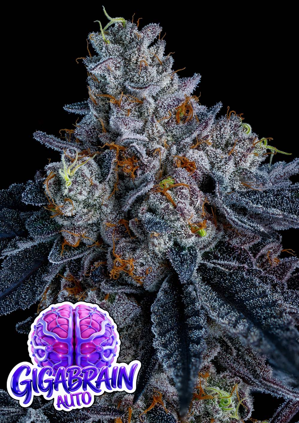 Giga Brain Auto