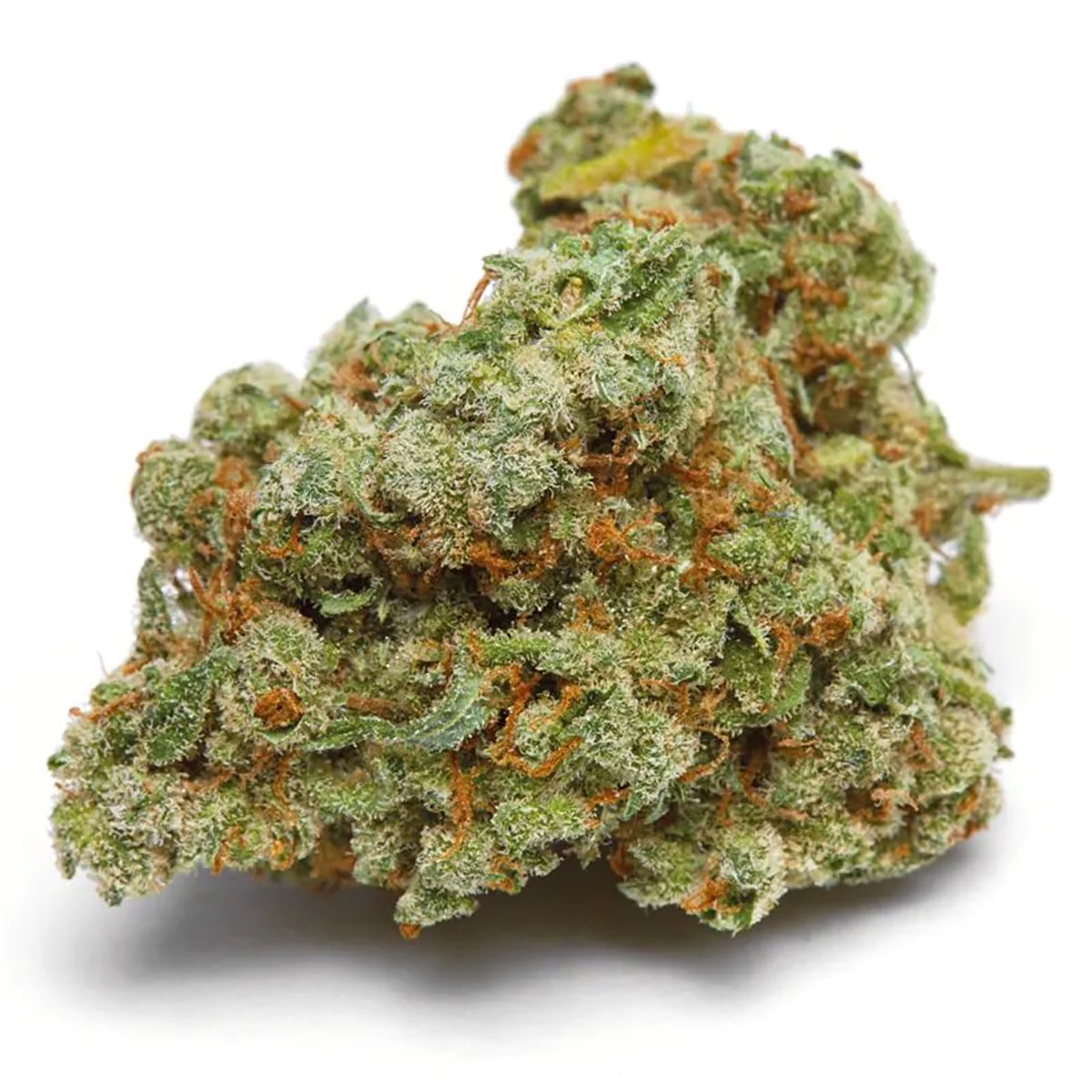 Banana Sherbet Feminisiert (Growers Choice) Produktfoto