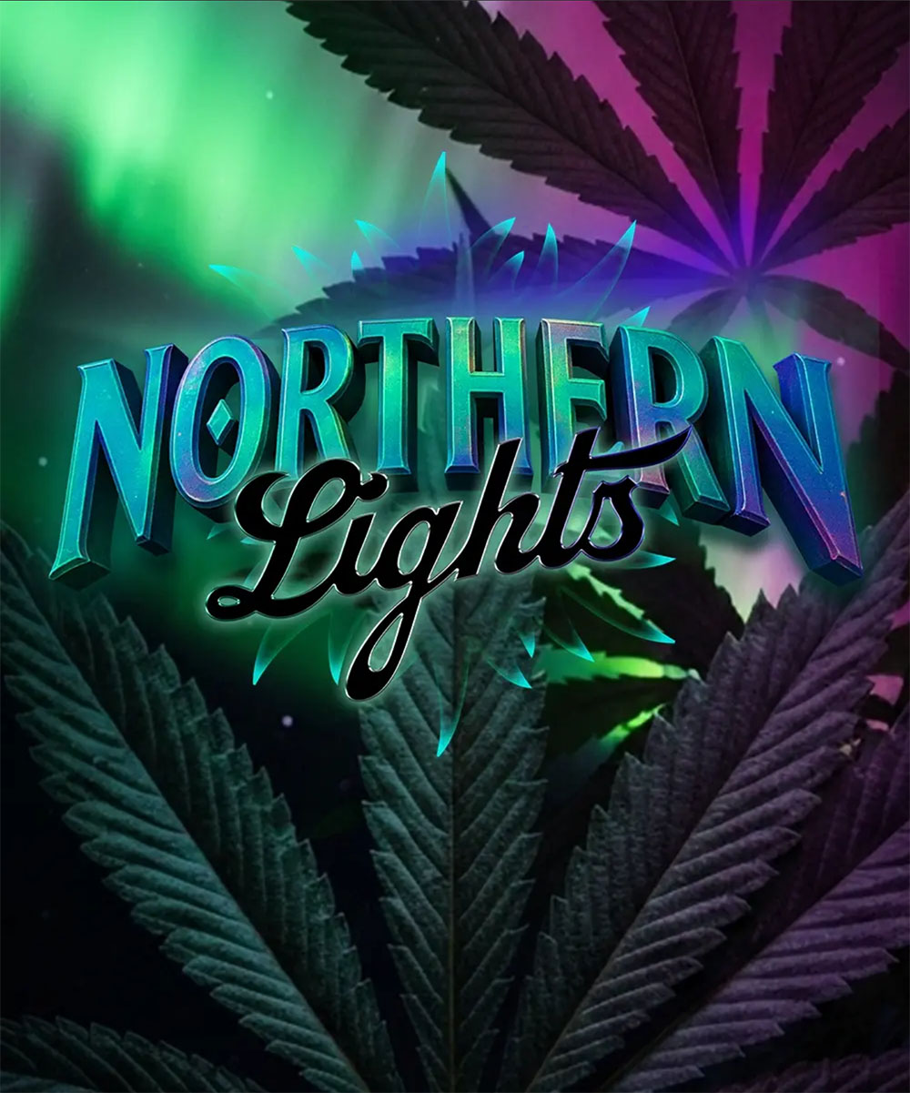 Northern Lights Feminisiert