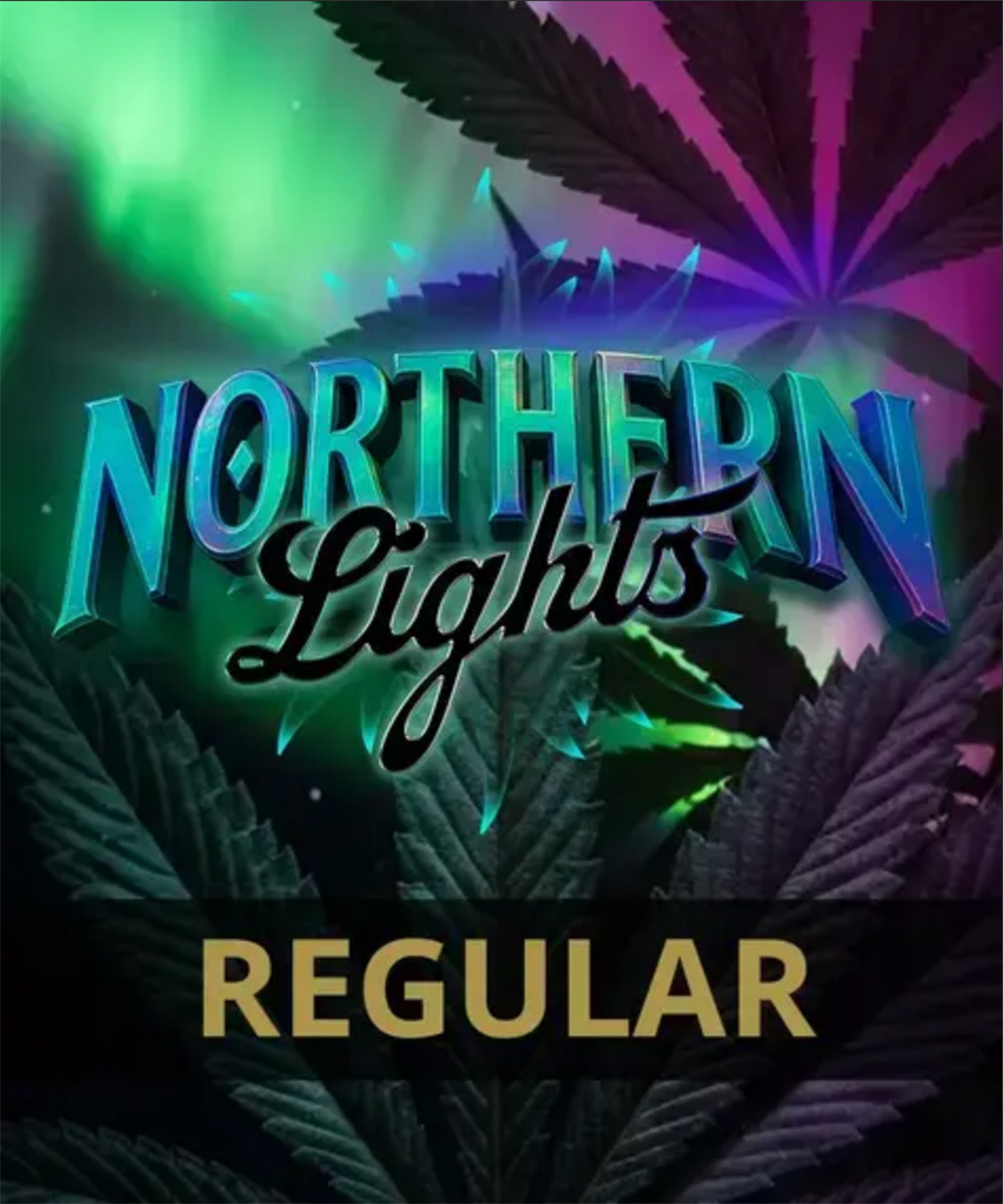 Northern Lights Regulär