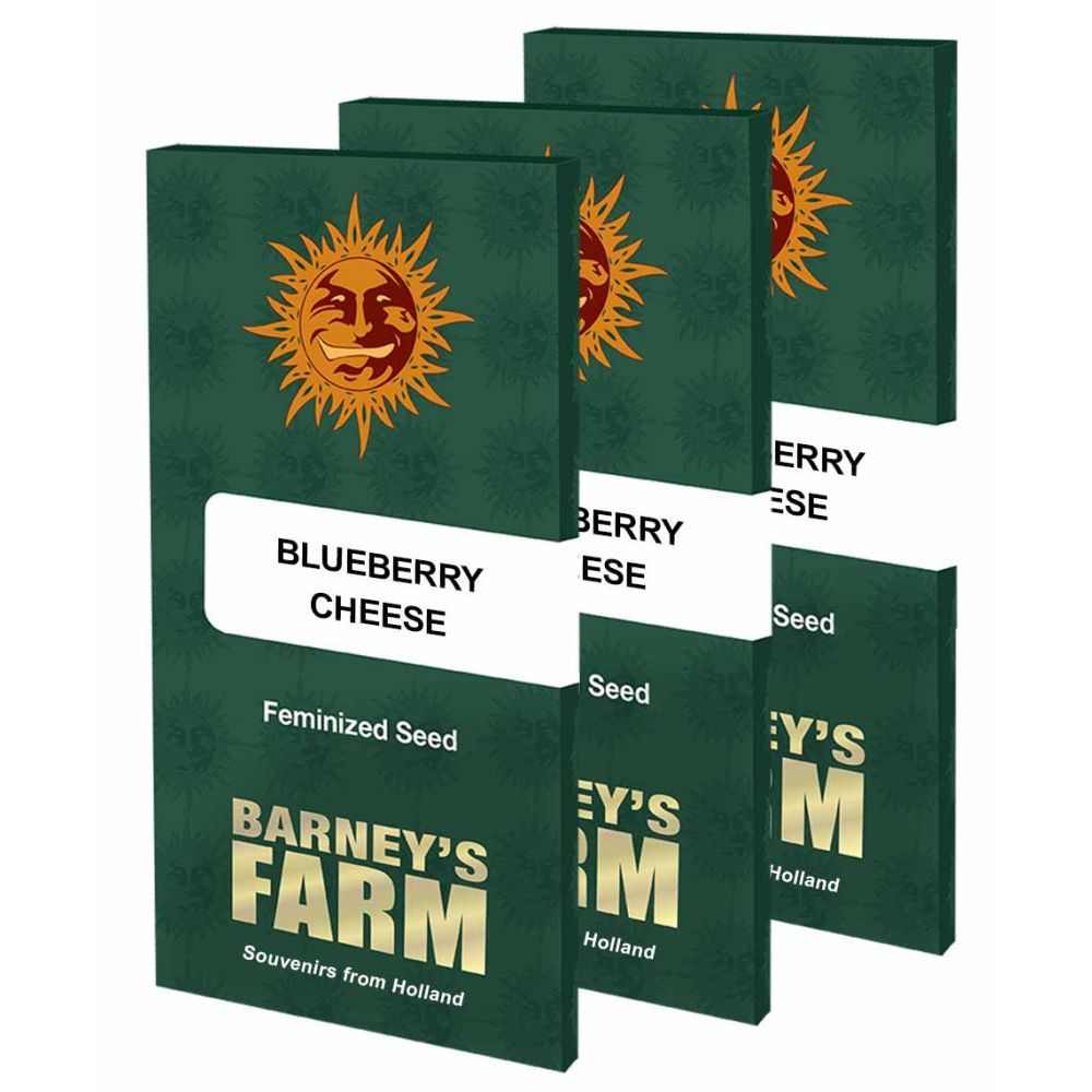 Barneys Farm Blue Blueberry Cheese Hanfsamen Verpackung