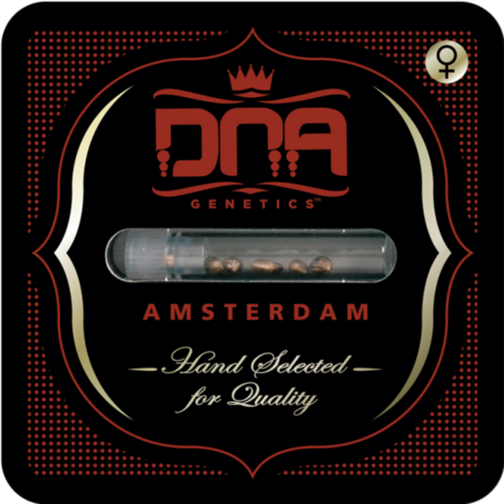DNA Genetics Holy Grail Kush Feminisierte Hanfsamen Verpackung