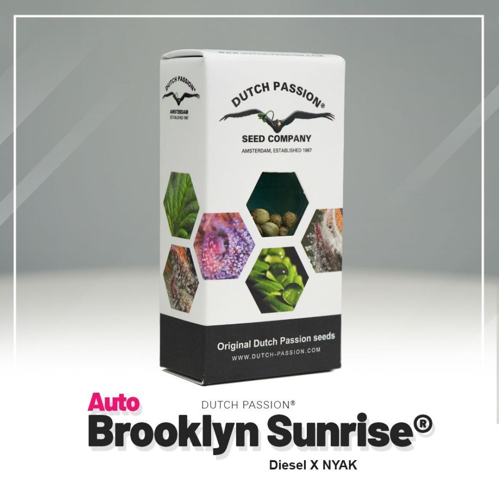 CBD Auto Brooklyn Sunrise Hanfsamen Verpackung