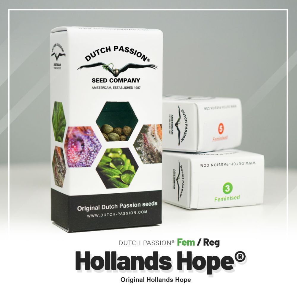 Dutch Passion Hollands Hope Hanfsamen Verpackung