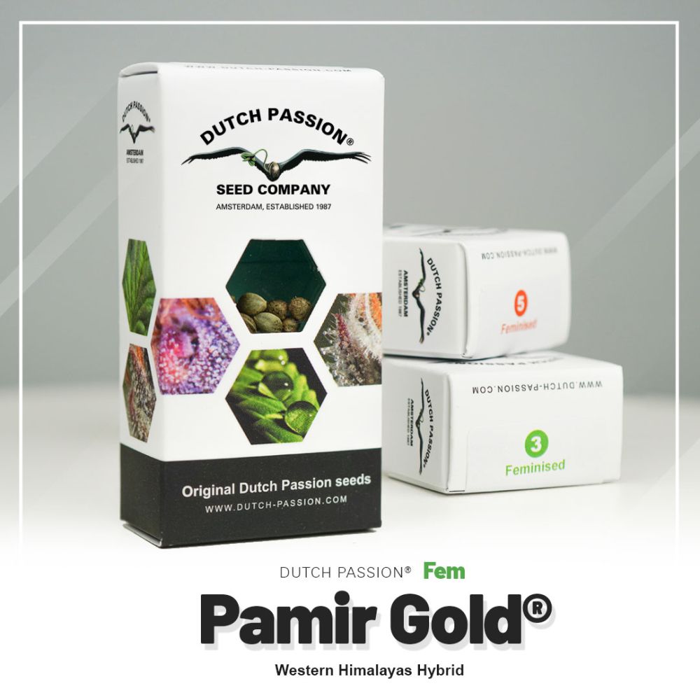 Dutch Passion Pamir Gold Verpackung