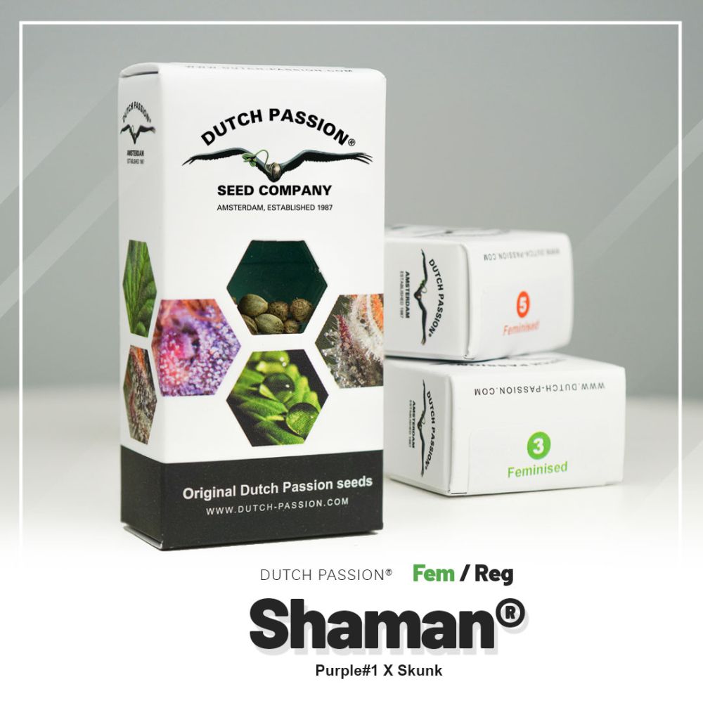Dutch Passion Shaman Hanfpflanze Verpackung