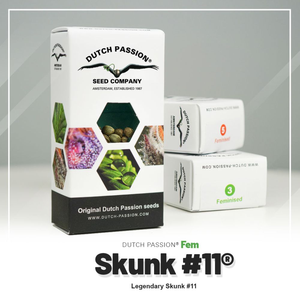 Dutch Passion Skunk #11 Hanfpflanze Verpackung
