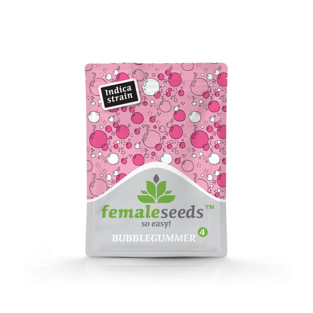 Female Seed Bubblegummer Feminisierte Hanfsamen Verpackung