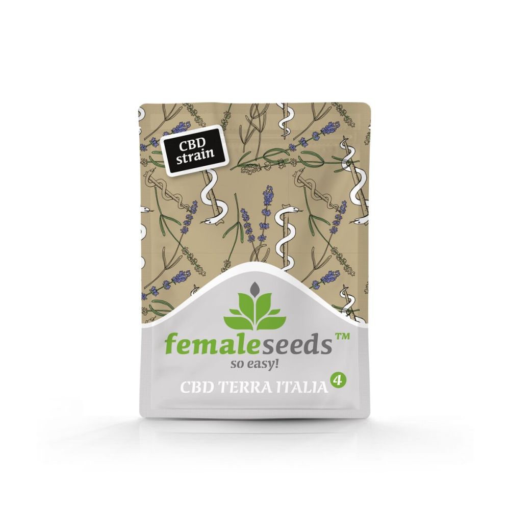 Female Seeds CBD Terra Italia Feminisierte Hanfsamen Verpackung