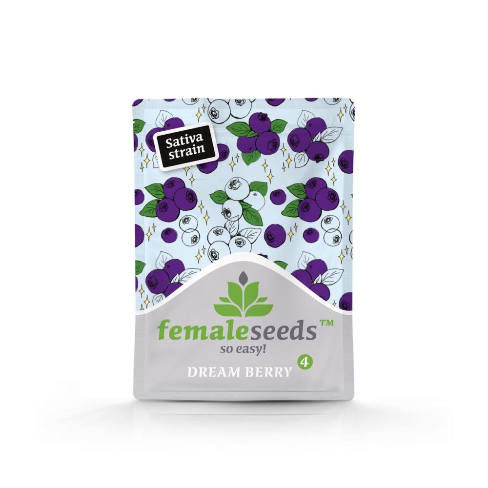 Female Seeds Dream Berry Feminisierte Hanfsamen Verpackung