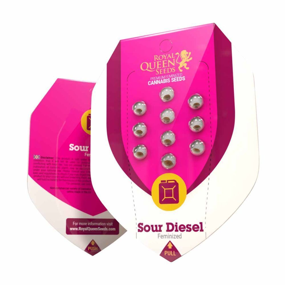 Royal Queen Seeds Sour Diesel feminisierte Hanfsamen Verpackung