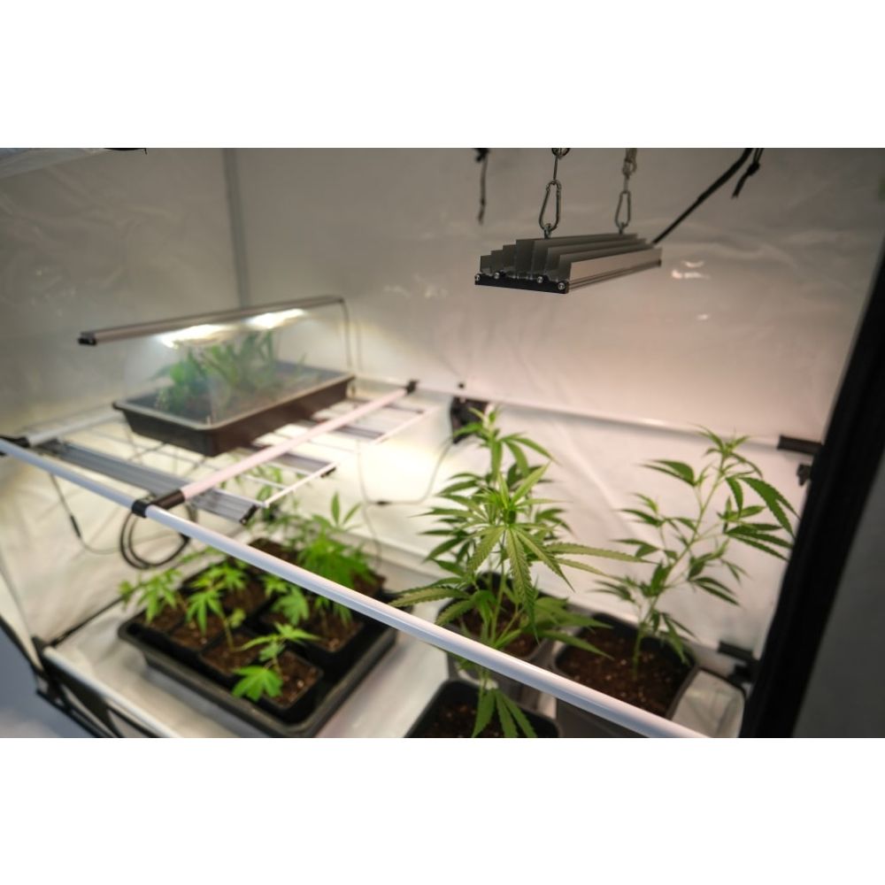 SANlight STIXX 50 Led Grow Lampe