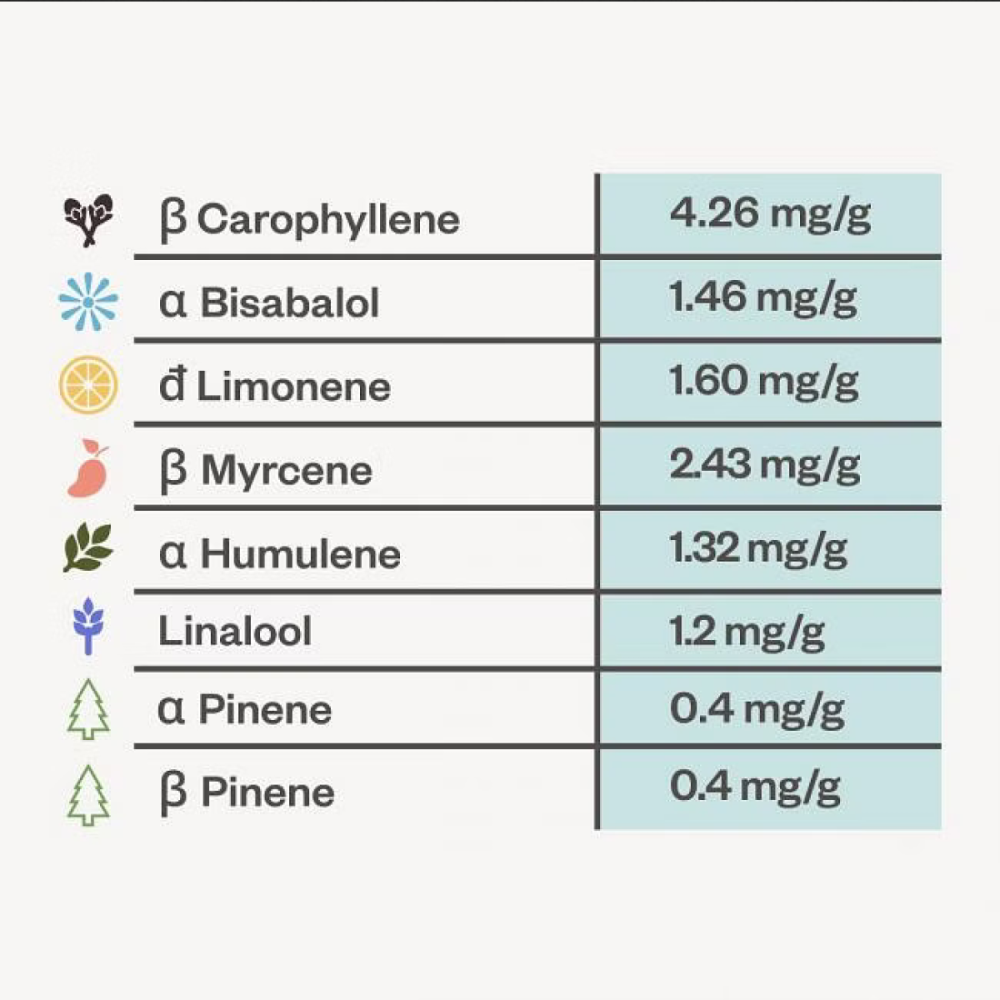 Seedsman Peyote Zkittlez Feminisierte Hanfsamen