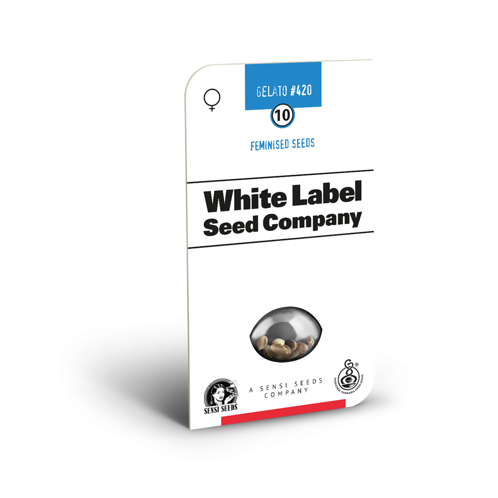 White Label Gelato #420 feminisierte Hanfsamen Verpackung