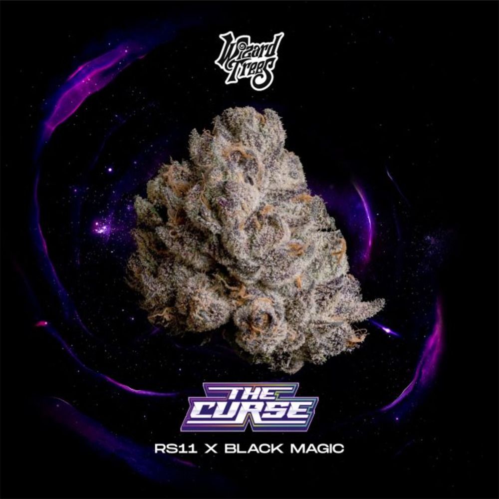 Wizard Trees The Curse Feminisierte Cannabissamen
