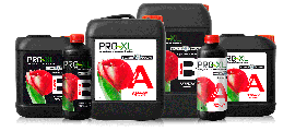 Pro XL Bloom A&B