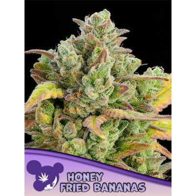 Honey Fried Bananas Feminisiert