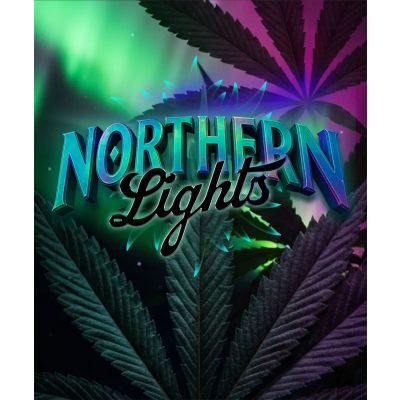 Northern Lights Feminisiert
