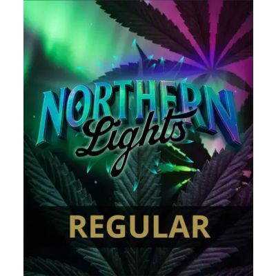 Northern Lights Regulär