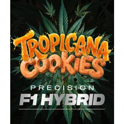Tropicana Cookies F1 Auto