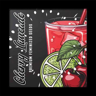 Cherry Limeade Feminisiert