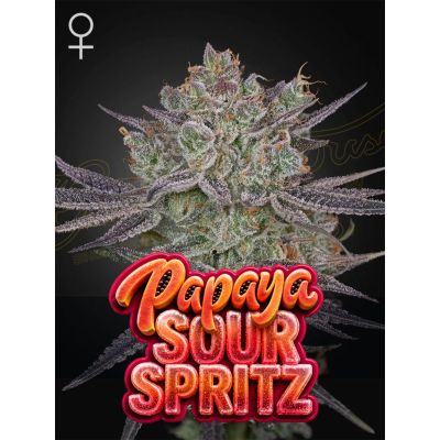 Papaya Sour Spritz Feminisiert
