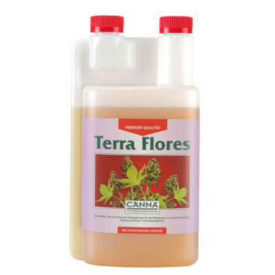 Canna Terra Flores