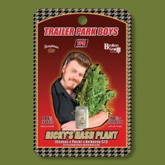 Ricky's Hash Plant Feminisiert