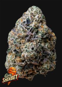 420 FastBuds Gary Sherbet Automatic Hanfsamen