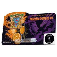 Sweet Seeds Super Boof x RS11 Feminisierte Cannabissblüte