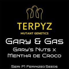 Gary & Gas Feminisiert