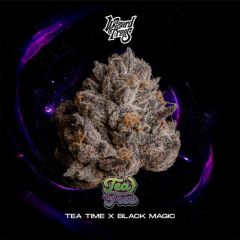 Wizard Trees Tea Tree Feminisierte Cannabissamen