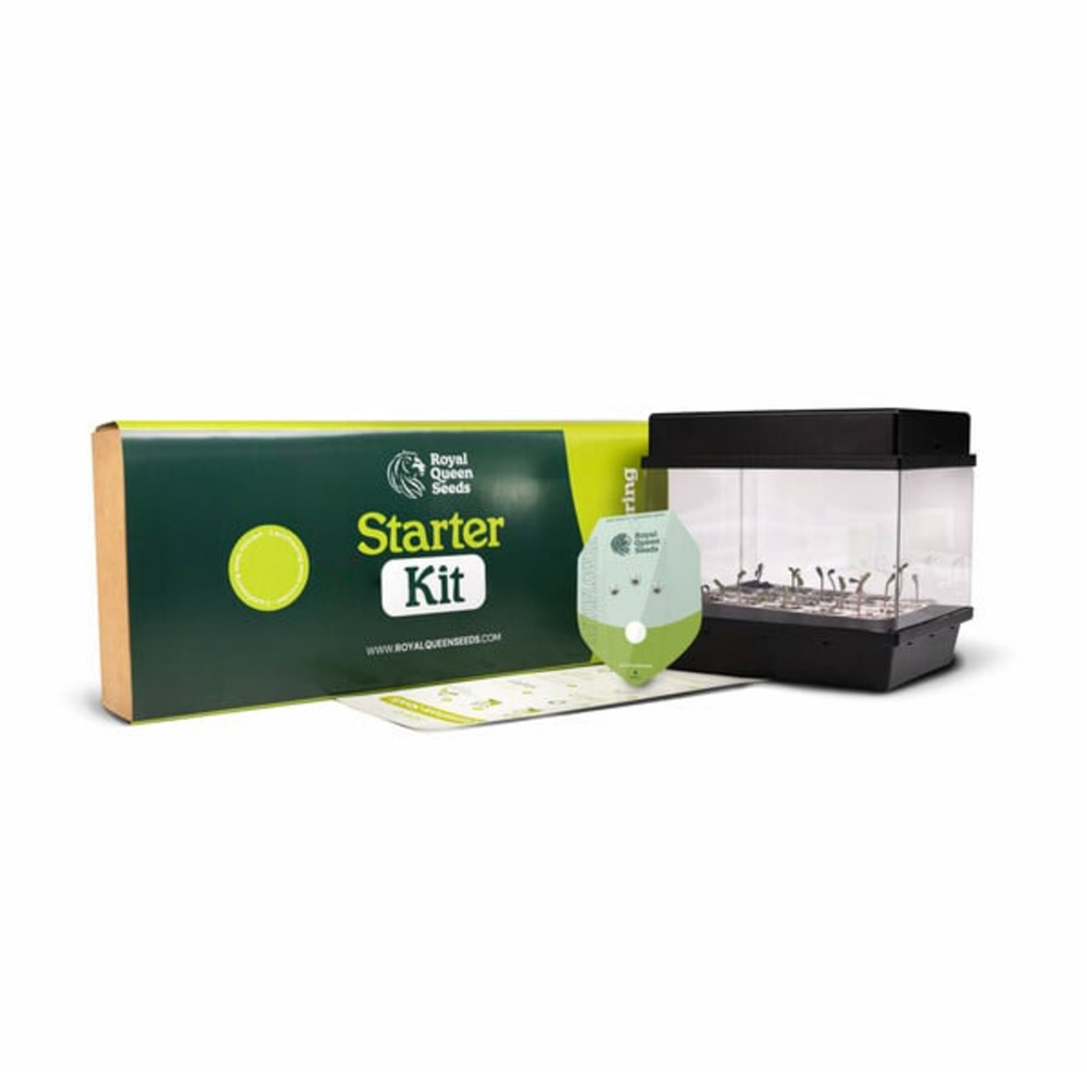Royal Queen Seeds - Starter Set Autoflower