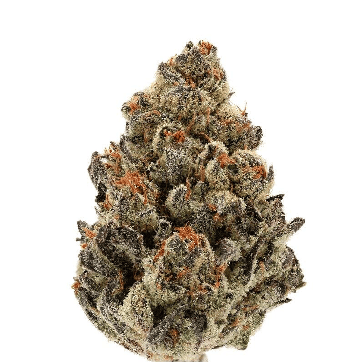 Bruce Banner III Auto (Growers Choice) Produktfoto