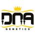 DNA Genetics Logo