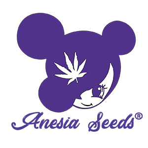 Anesia Seeds