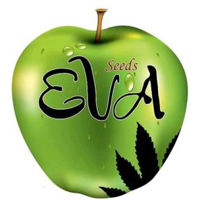 Eva Seeds