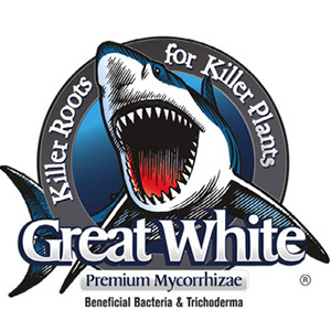 Great White