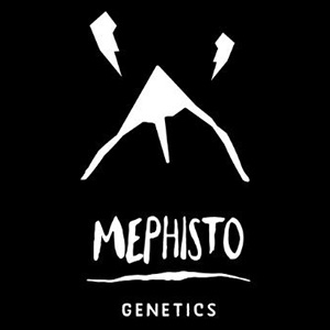 Mephisto Genetics