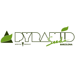 Pyramid Seeds