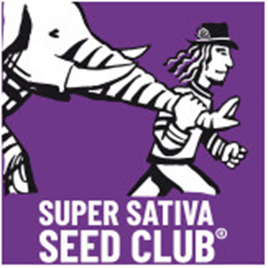 Super Sativa Seed Club