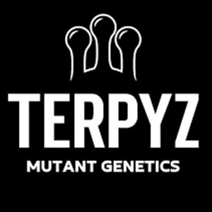 Terpyz