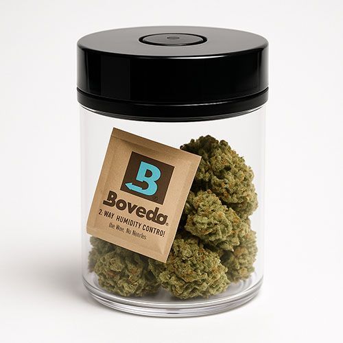 Cannabis Aufbewahrung fermentieren