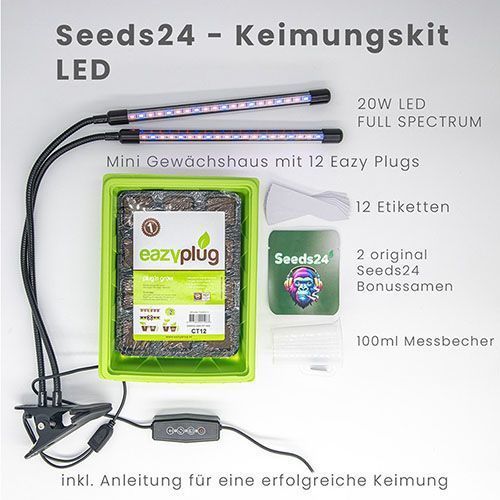 Cannabissamen Keimungsset